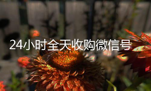 24小时全天收购微回收微信平台信号(出售微信24小时在线回收)